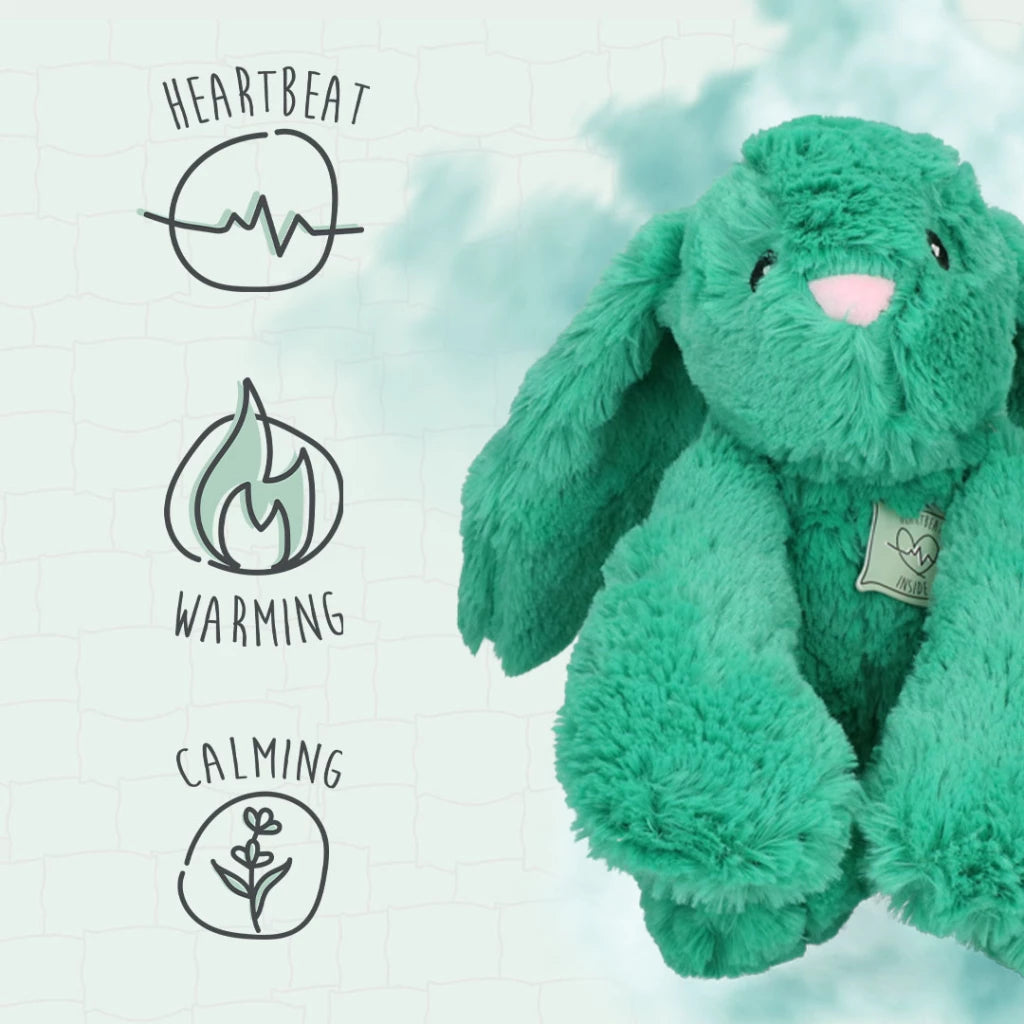 Lapin de Cozy Dog