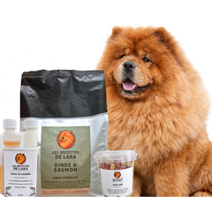 Pack Lara - Dinde & Saumon