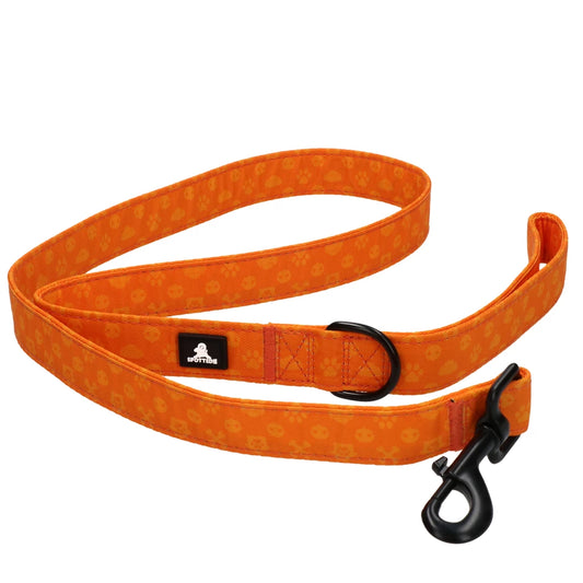Spotted! Pro Harnais No Pull + Laisse  - ORANGE