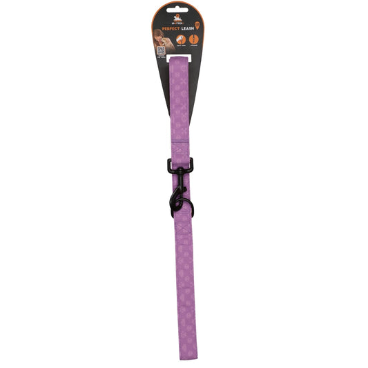 Spotted! Pro Harnais No Pull + Laisse  - VIOLET