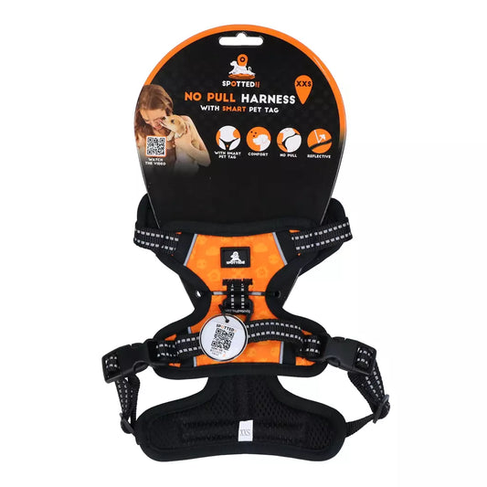 Spotted! Pro Harnais No Pull + Laisse  - ORANGE