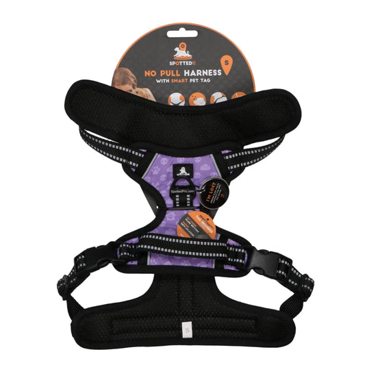 Spotted! Pro Harnais No Pull + Laisse  - VIOLET