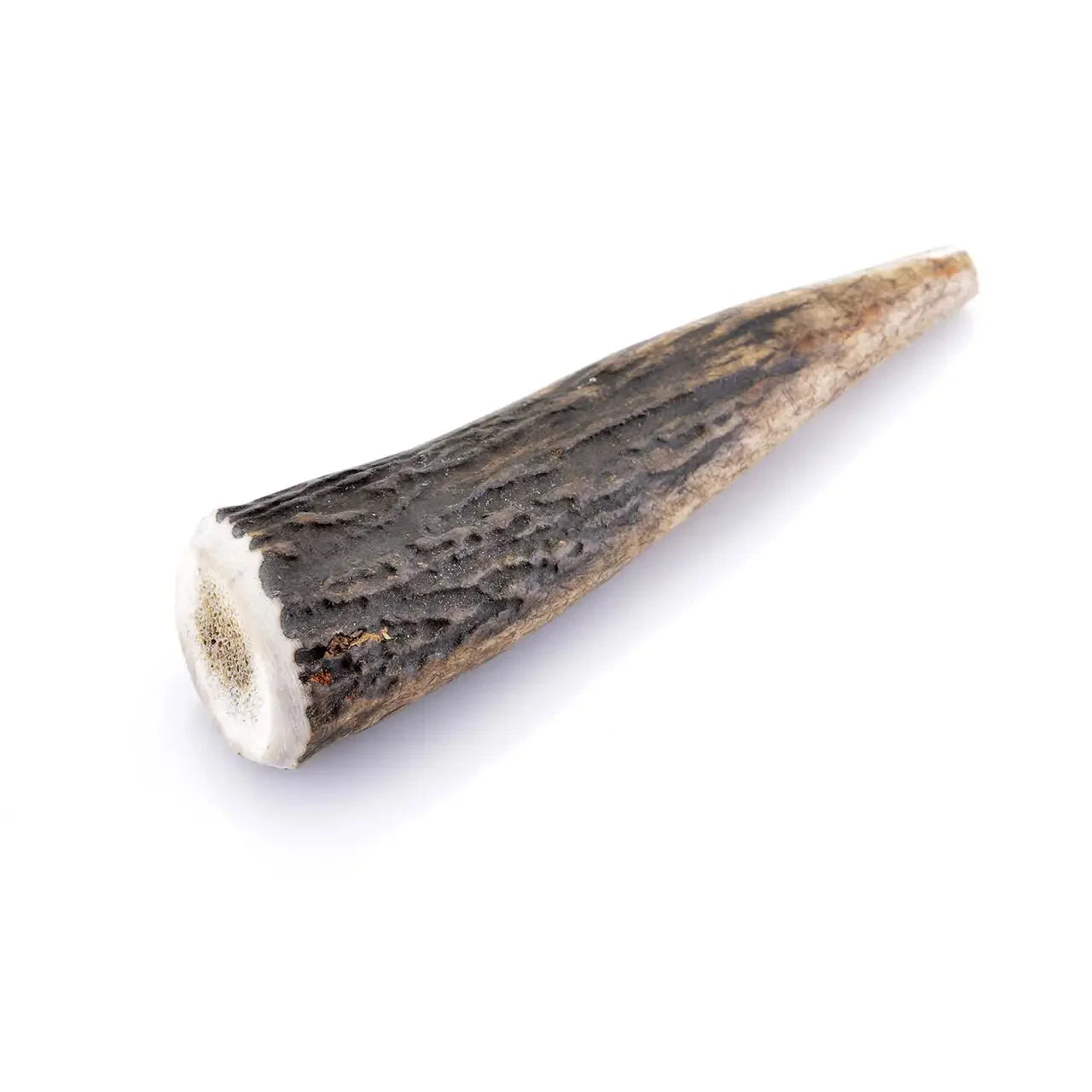 Bois de cerf pour chien entier /  Taille 12-15cm