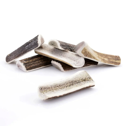 Bois de cerf pour chien tranché / Taille 12-15cm