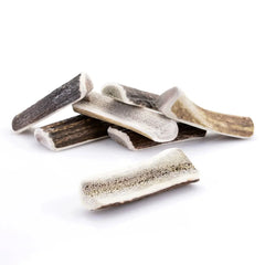 Bois de cerf pour chien tranché / Taille 12-15cm