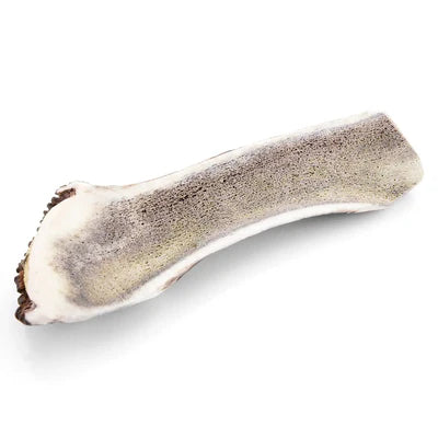 Bois de cerf pour chien tranché / Taille 12-15cm