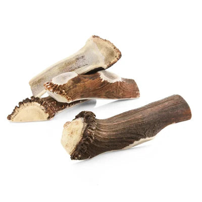Bois de cerf pour chien tranché / Taille 12-15cm