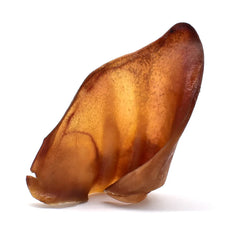 Oreille de Porc XL