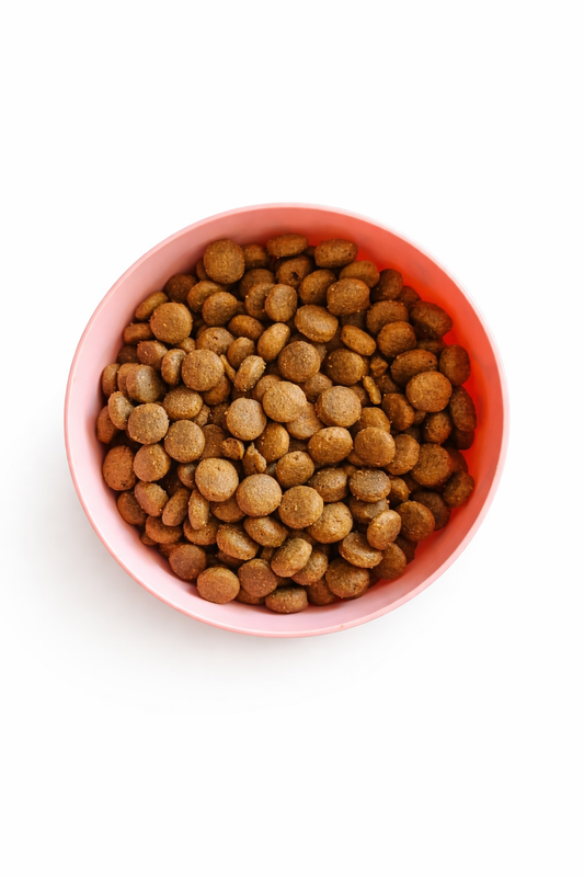 Croquette Poulet & Saumon - Équilibre et brillance