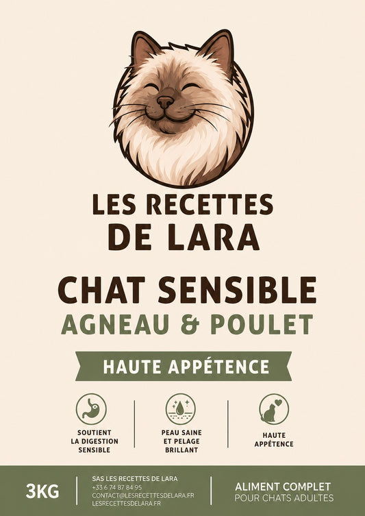 Chat Sensible
