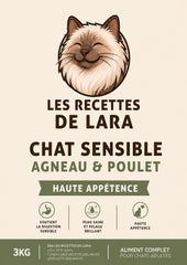 Chat Sensible