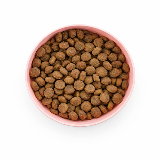 Croquette Dinde & Saumon - Peau Sensible