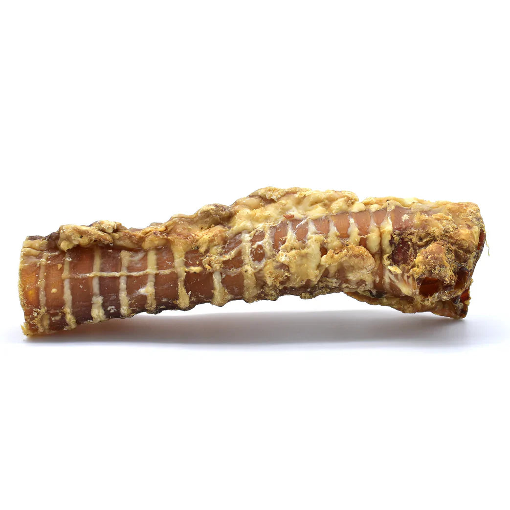 Traché de Boeuf